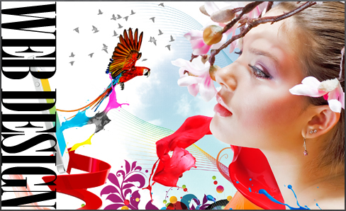 WEB DESIGN
